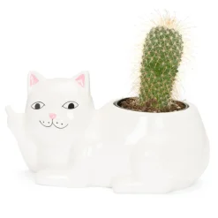 Unisex Ripndip Lord Nermal Ceramic Planter