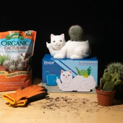 Unisex Ripndip Lord Nermal Ceramic Planter