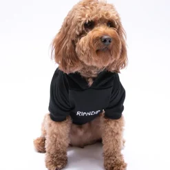 Unisex Ripndip Lord Nermal Pet Hoodie