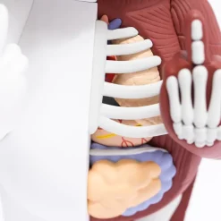 Unisex Ripndip Lord Nermal Vinyl Figure