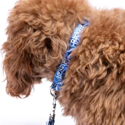 Unisex Ripndip Nikola Pet Collar